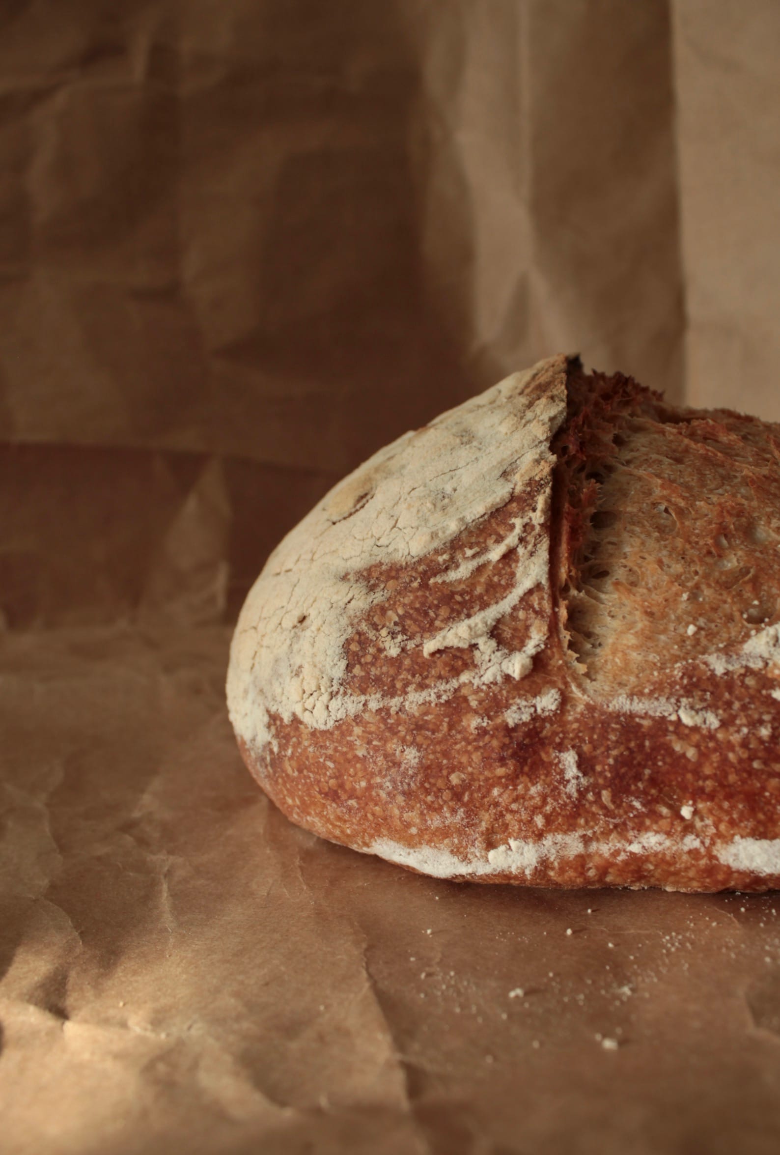 Bakery's diary Sourdough side shot